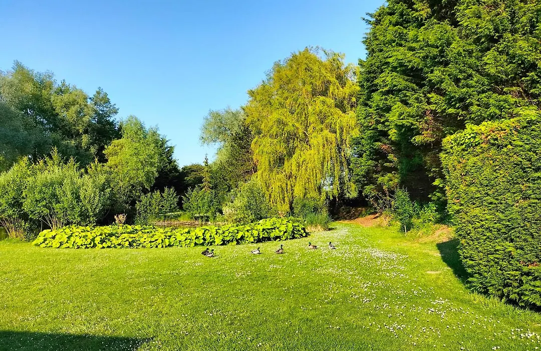 La Mouillère-1